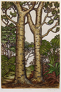 mary taylor kauri trees print