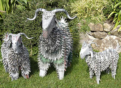 corrugated iron art angora goats