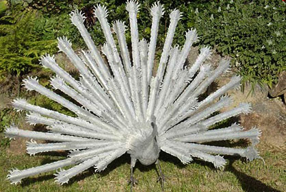 corrugated iron metal peacock